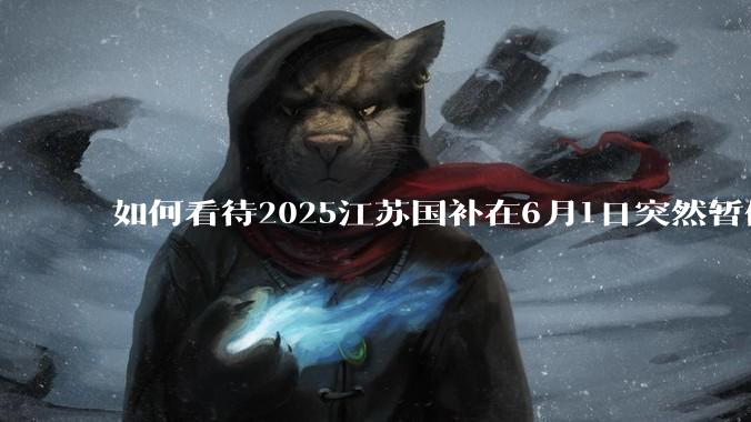 如何看待2025江苏国补在6月1日突然暂停下线？