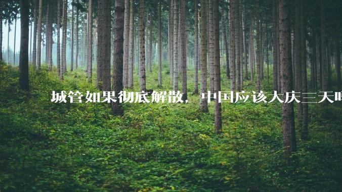 城管如果彻底解散，中国应该大庆三天吗？