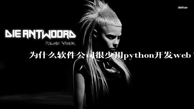为什么软件公司很少用python开发web?