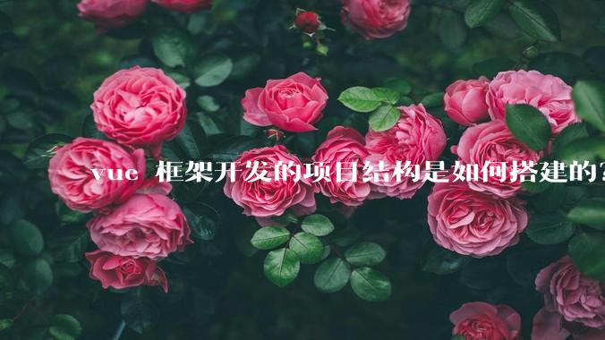 vue 框架开发的项目结构是如何搭建的？