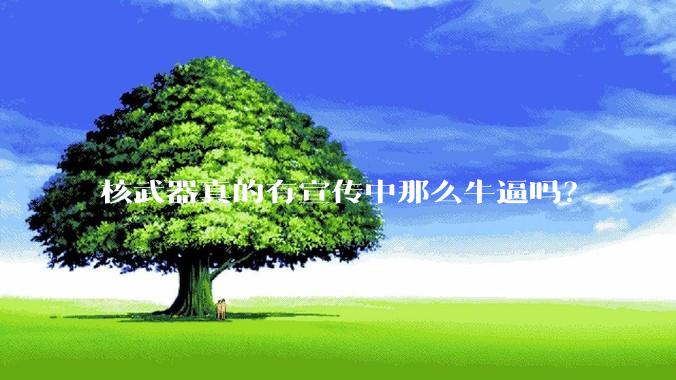 核武器真的有宣传中那么牛逼吗？