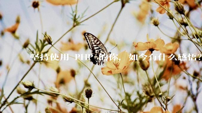 坚持使用 PHP 的你，如今有什么感悟？