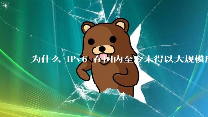 为什么 IPv6 在国内至今未得以大规模应用?